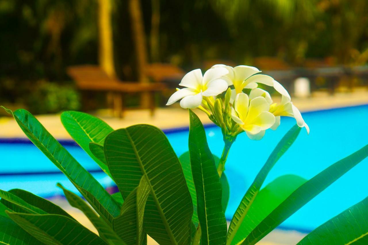 Green Garden Cabanas Tangalle Esterno foto